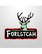 Forestcam